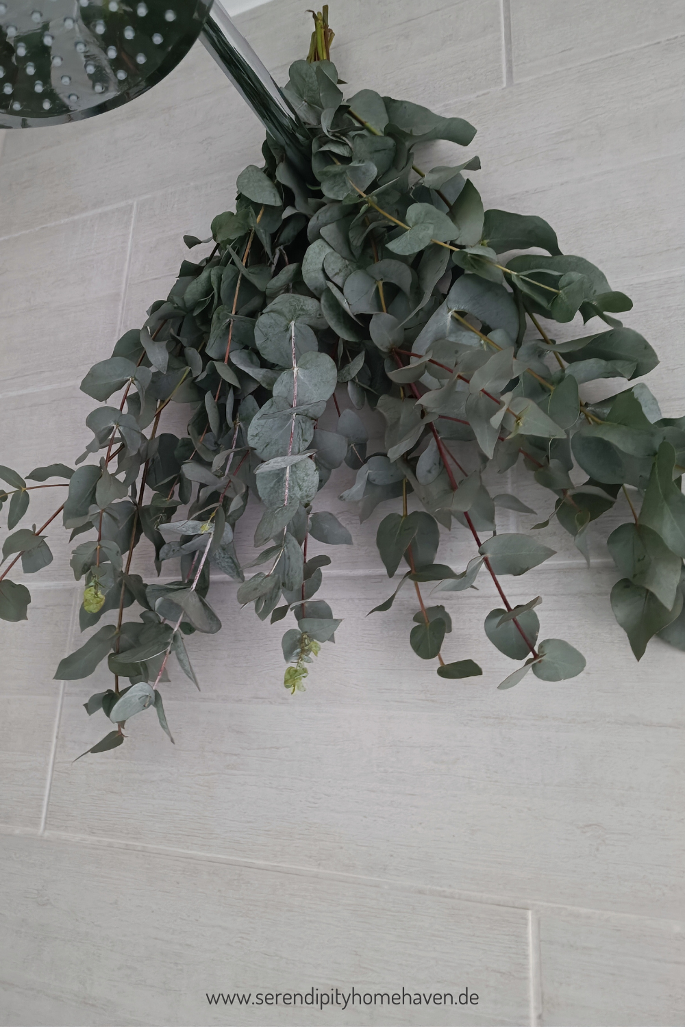 Eukalyptus Dusche: Wellness für jeden Tag